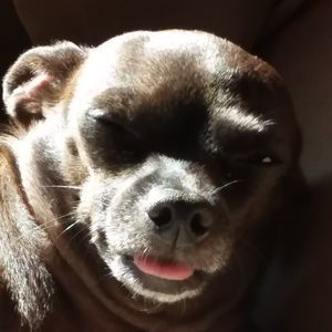 Meet your Posher, Deborah